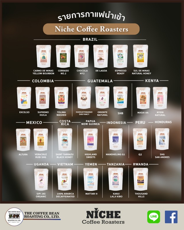 My Image 16