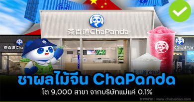ชาผลไม้จีน ChaPanda