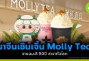 ชาจีนเซินเจิ้น Molly Tea