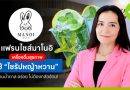 มาโนอิ