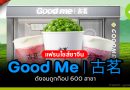 แฟรนไชส์ชาจีน Good Me 古茗 ดังจนถูกก๊อป 600 สาขา