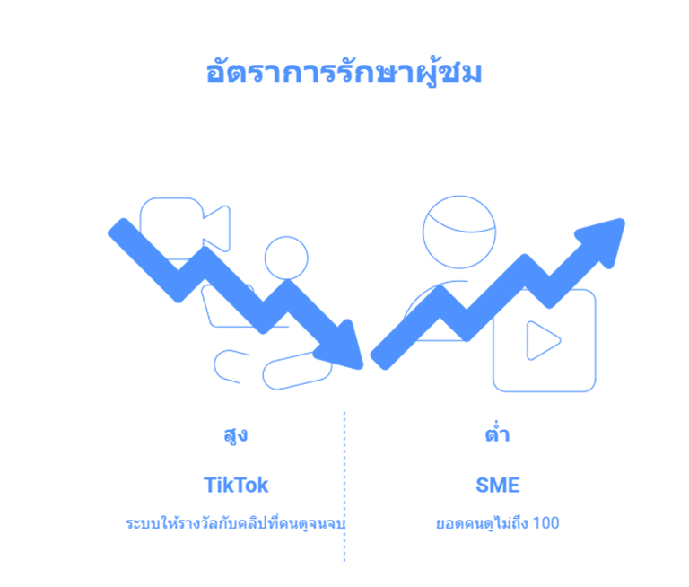 ปั้มคนดู TikTok