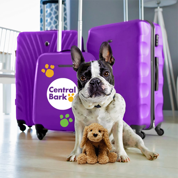 10 เทรนด์แฟรนไชส์มาแรง