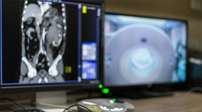 Thonglor Pet Hospital