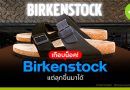 Birkenstock เกือบน็อค