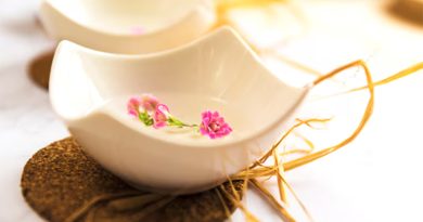 รังนกทำมาจากอะไร