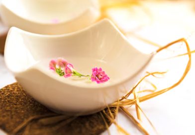 รังนกทำมาจากอะไร