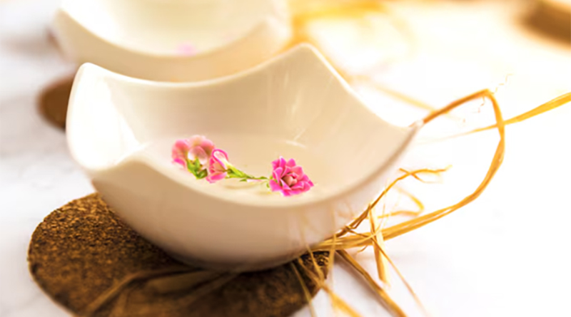 รังนกทำมาจากอะไร