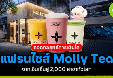 ถอดกลยุทธ์การเติบโตแฟรนไชส์ Molly Tea จากเซินเจิ้นสู่ 2,000 สาขาทั่วโลก ถอดกลยุทธ์การเติบโตแฟรนไชส์-molly-tea