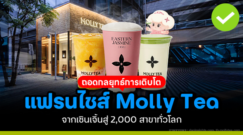 ถอดกลยุทธ์การเติบโตแฟรนไชส์ Molly Tea จากเซินเจิ้นสู่ 2,000 สาขาทั่วโลก ถอดกลยุทธ์การเติบโตแฟรนไชส์-molly-tea