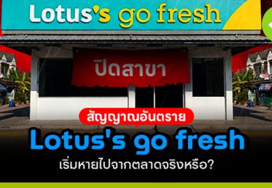 Lotus´s go fresh