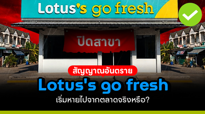 Lotus´s go fresh
