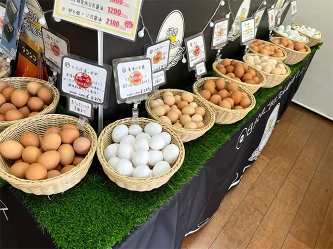 ร้าน phantom egg shop