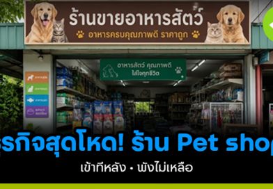 ธุรกิจสุดโหด! ร้าน Pet Shop เข้าทีหลัง พังไม่เหลือ ธุรกิจสุดโหด